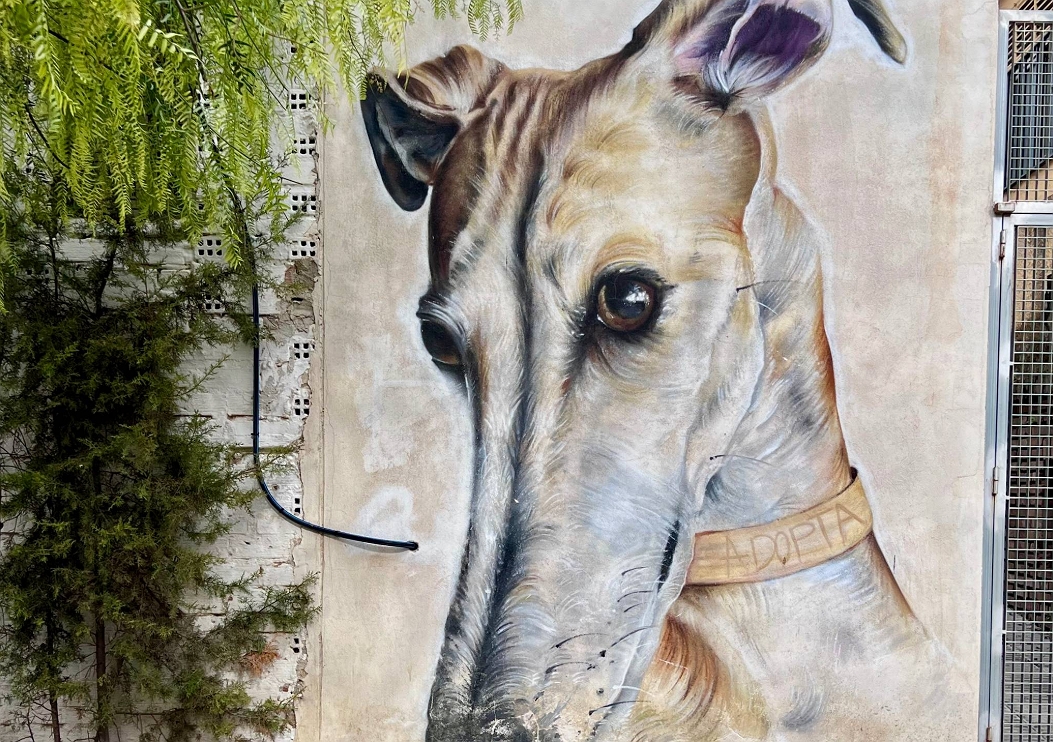 Adopta Mural by Sake Ink